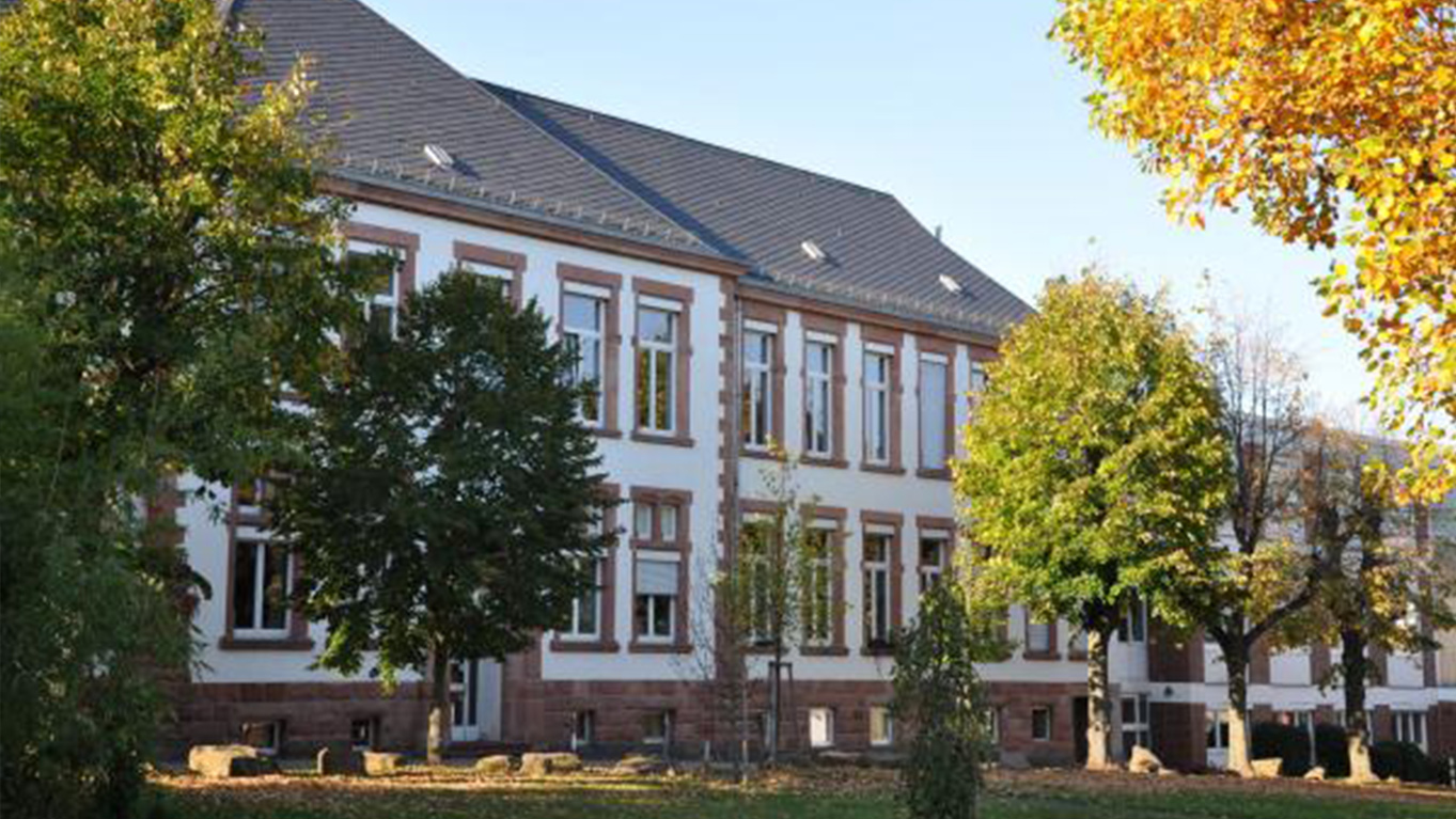 LED-Projektsteuerung-Landesamt-Saarland-LZD